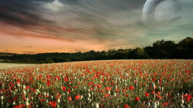 如何评价前端组件库shadcn/ui?